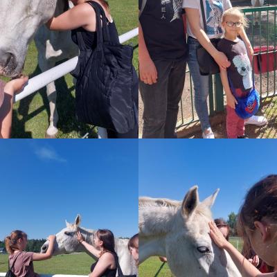 Img 20240527 161145 627