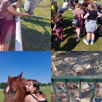 Img 20240527 161239 835