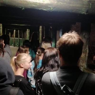 Img 20240613 091759 Resized 20240613 113405246