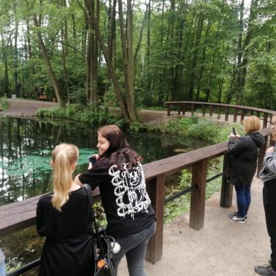 Img 20240613 095838 Resized 20240613 114055643