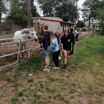 Img 20240613 120337 Resized 20240613 113404359