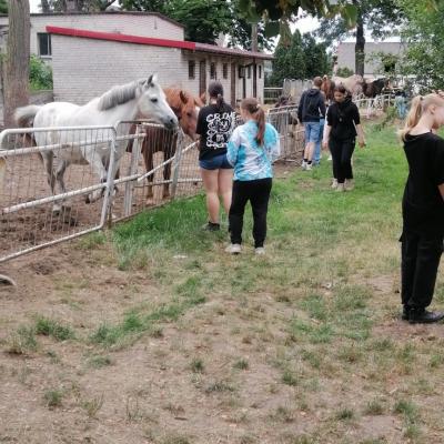 Img 20240613 120829 Resized 20240613 114056377