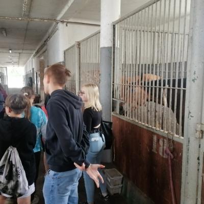 Img 20240613 123452 Resized 20240613 113621695