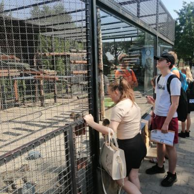 Img 20240710 100808 Resized 20240710 091630862