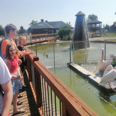 Img 20240710 104859 Resized 20240710 093037944