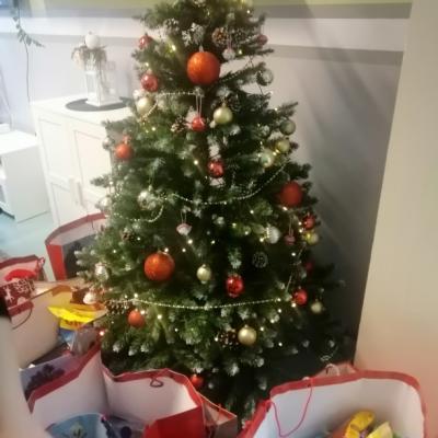 Img 20241208 125357 Resized 20241208 033239870