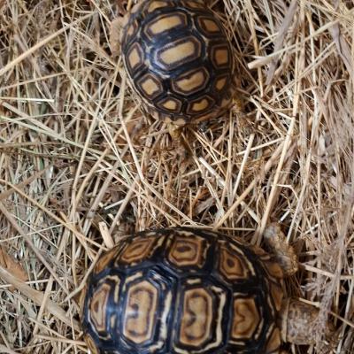 Fb Img 1743067417045