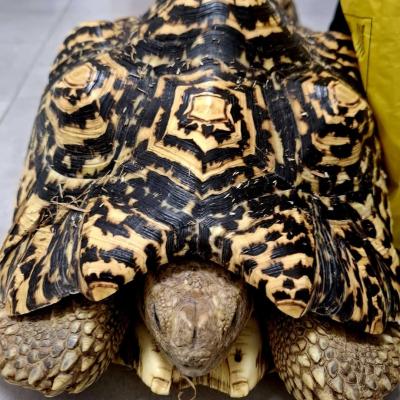 Fb Img 1743067423244