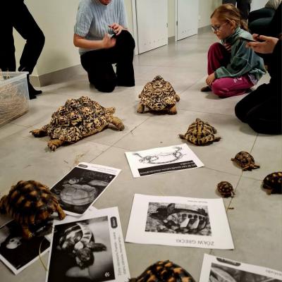 Fb Img 1743067424662