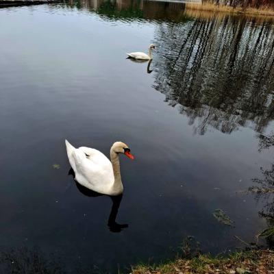 Fb Img 1743073344393