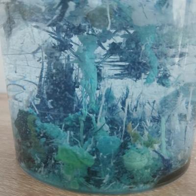 Facebook Creation 22246ca5 87a9 4260 8d91 990eddb8696c