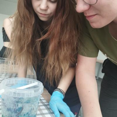 Facebook Creation 759fb0bb 29a6 44ff B2b1 87458c924e82