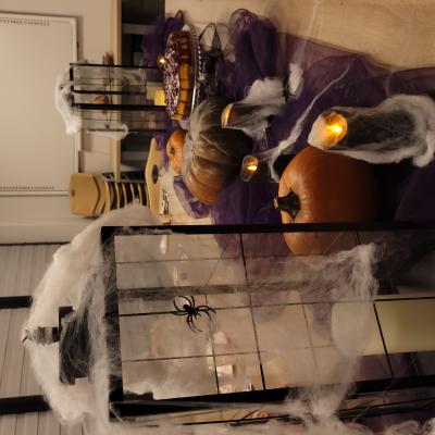 Halloween w Placówce